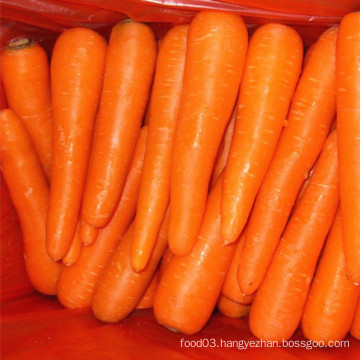 Shandong Fresh Carrot New Crop